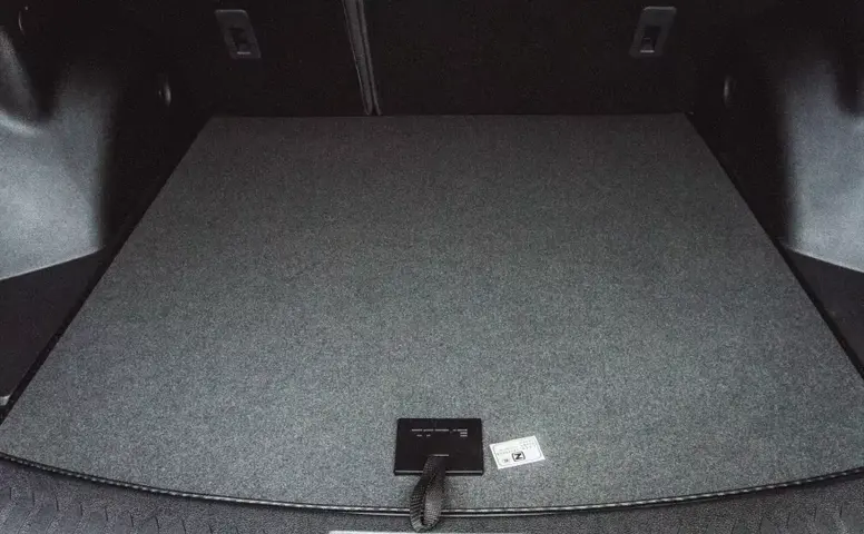 Zotye T600