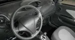 Chery indis (s18d)