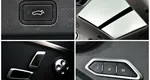 Geely tugella